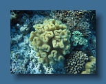 Helengeli 189
